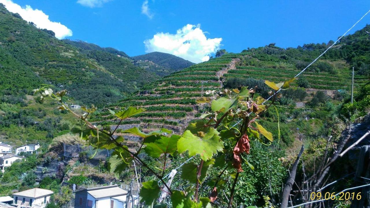 Case Vacanza Reggimonti Cinque Terre Bonassola Eksteriør billede