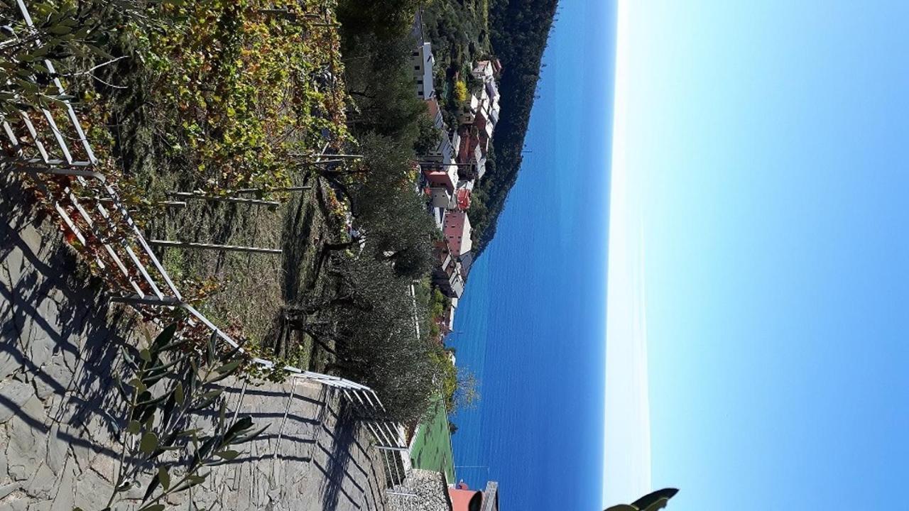 Case Vacanza Reggimonti Cinque Terre Bonassola Eksteriør billede